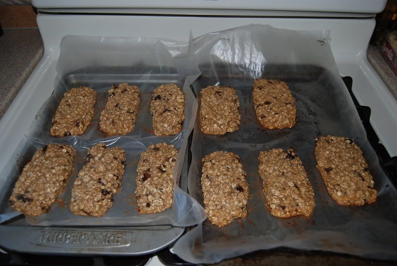 Homemade energy bars cheap, delicious, and surprisingly easy!